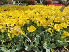 -玄武湖景区-情侣园游乐场