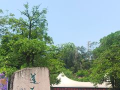 -广州莲花山旅游区