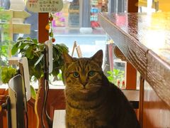 -HUG COFFEE(鼓楼店)