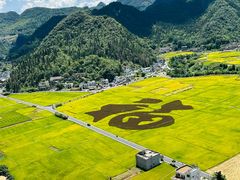 -万峰林风景区