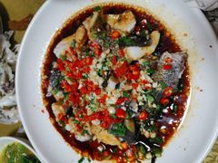 -全乐鱼馆·淳牌有机鱼直营店