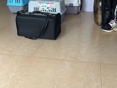 -灵美宠物诊所