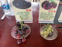 -马陆小张葡萄园农家乐