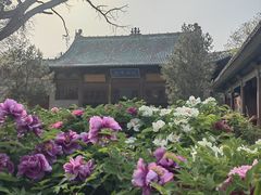 -晋祠公园