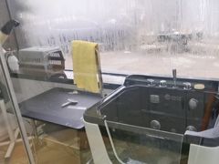 -糯米喵星人总部直营旗舰店·猫舍·幼猫出售