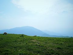 -妙峰山风景名胜区