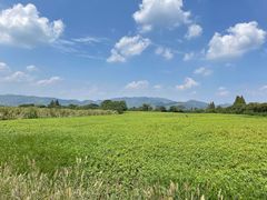 -良渚古城遗址公园
