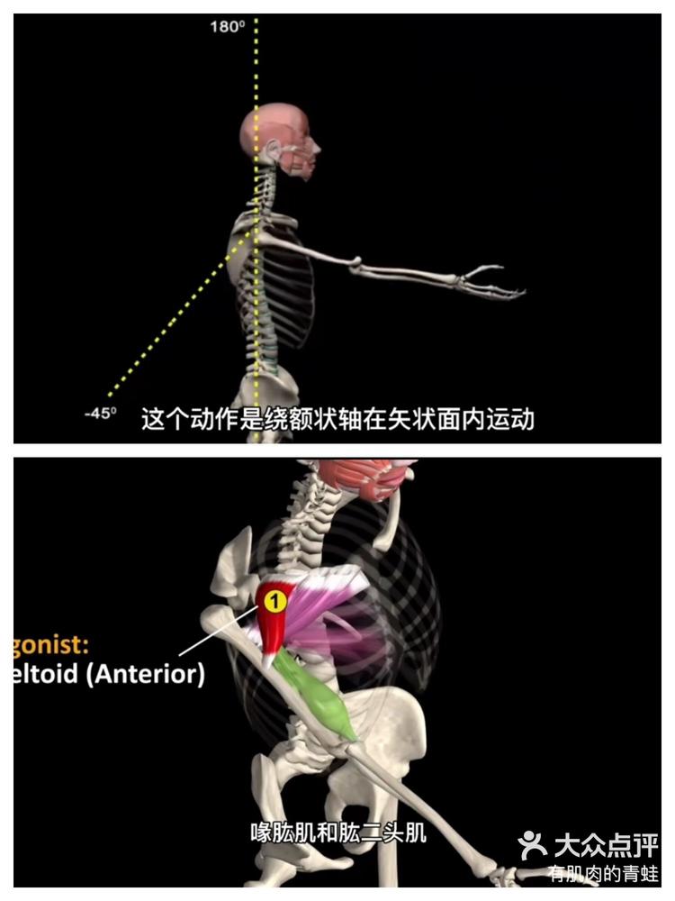 肩关节活动度检查图片