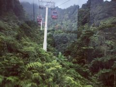 -鼎泰丰(云顶高原店)