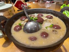 -鸽子窝(宋庄店)