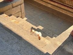 -四门塔风景区