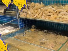 -韩记海鲜饺子旗舰店(红海新区店)