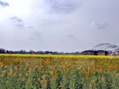 -中国天府农业博览园