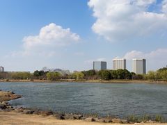 -澹台湖公园