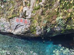 -苍山感通索道