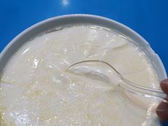 -德禄酸奶(莫家街店)