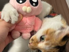 -Again Coffee Roaster(香蜜湖店)