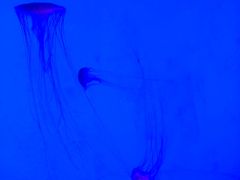 -沈阳海洋探索中心