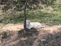 -石家庄市动物园