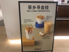 -Seesaw Coffee(上海国金中心店)