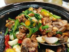 -明本湛江鸡•海鲜小厨(陈家祠店)