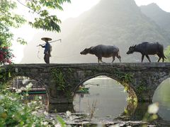 -靖西鹅泉风景区