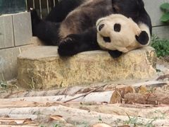 -南昌动物园