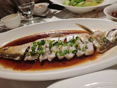 -金美华轩(东方路齐鲁店)
