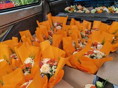 -金陵花卉交易市场