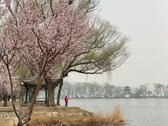 -颐和园