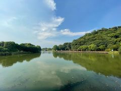 -绍兴镜湖国家城市湿地公园