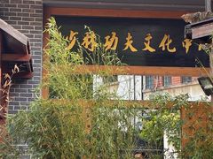-少林功夫文化中心·独门独院