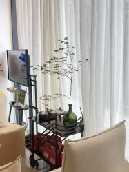 -倩极·精研痘敏肌管理