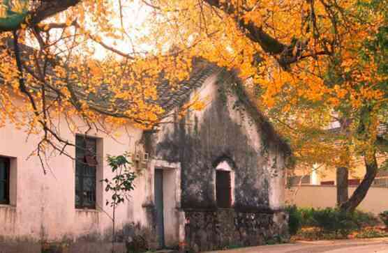 古银杏天泉景区-"喜欢的!觉得不错的!环境也算是优美啦!在.