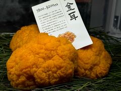 -滇野云南野生菌餐厅(陕西南路店)