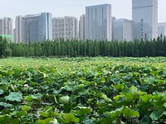 -艾溪湖湿地公园