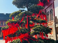 -吴兴寺