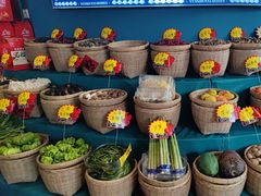 -雲顺·花菇朵·野生菌锅·云南美食(万柳店)