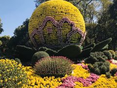 -共青国家森林公园-南大门停车场