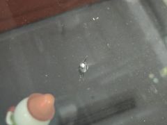 -鲨鱼皮汽车凹陷玻璃修复(静安店)