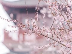 -堤角公园