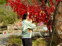 -梁野山景区