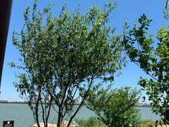 -天津东丽湖风景区