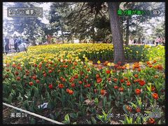 -北陵公园