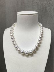 -GiO挚澳珠宝(侨福芳草地店)