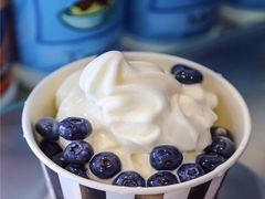 -JW德国冻酸奶Frozen Yogurt(龙湖成都滨江天街店)
