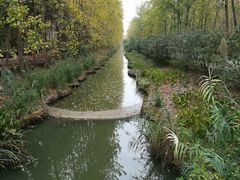 -合肥滨湖国家森林公园