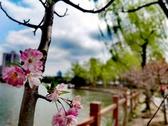 -黄兴公园