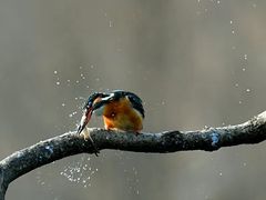 -沕沕水生态风景区