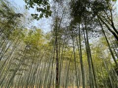 -杭州植物园